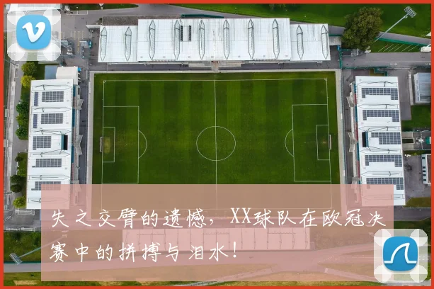失之交臂的遗憾，XX球队在欧冠决赛中的拼搏与泪水！
