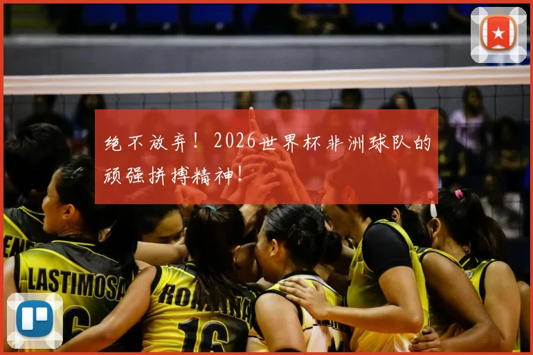 绝不放弃！2026世界杯非洲球队的顽强拼搏精神！