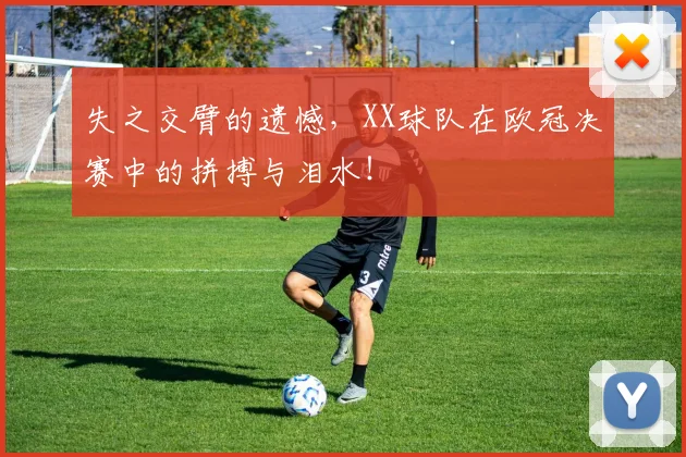 失之交臂的遗憾，XX球队在欧冠决赛中的拼搏与泪水！