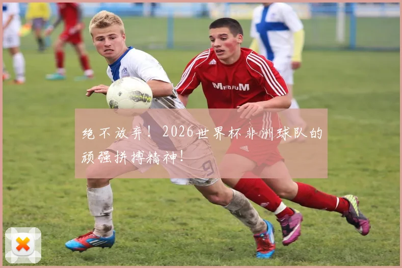 绝不放弃！2026世界杯非洲球队的顽强拼搏精神！